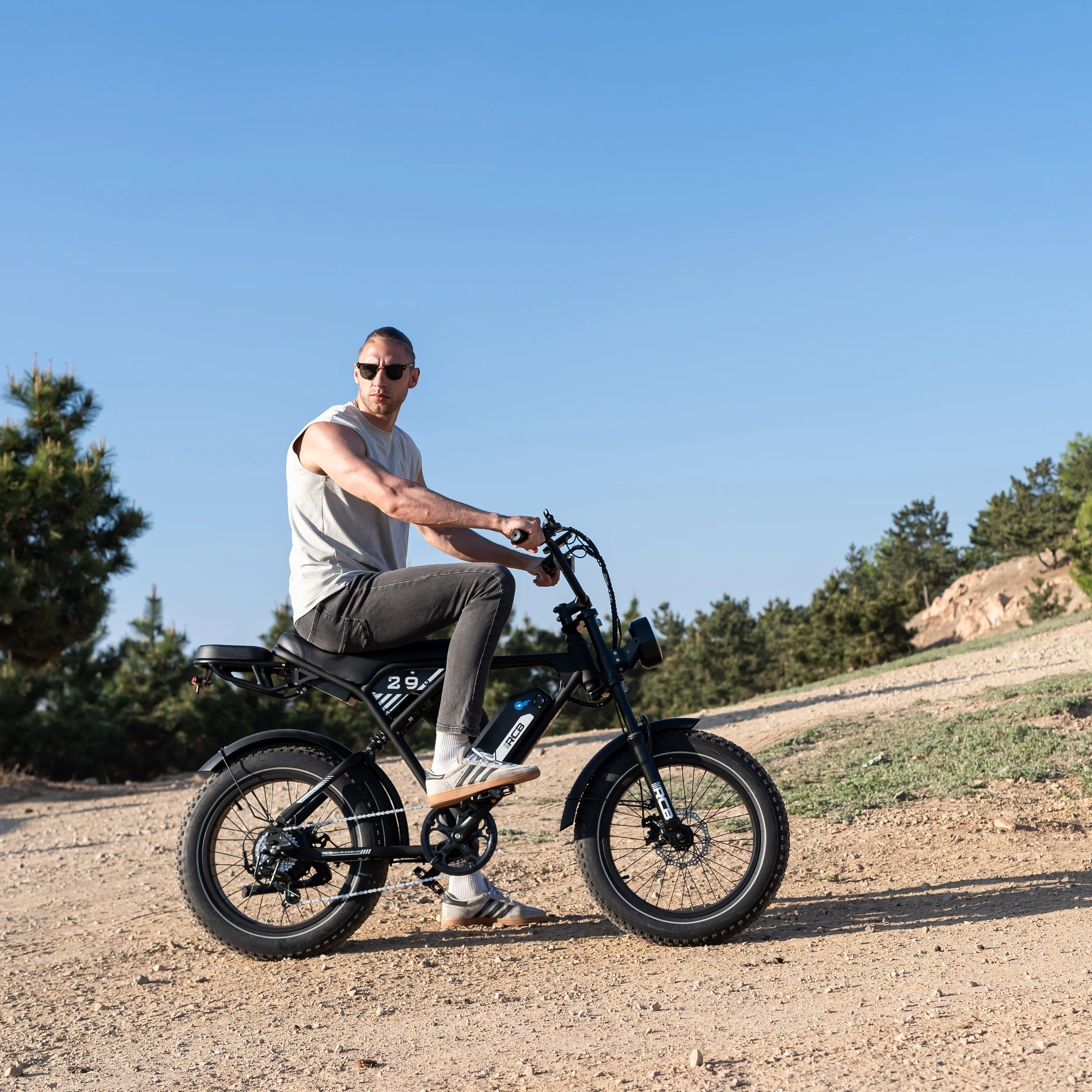 RCB RK29 Electric Bike for Adults(RCB E BIKE) - Image 10