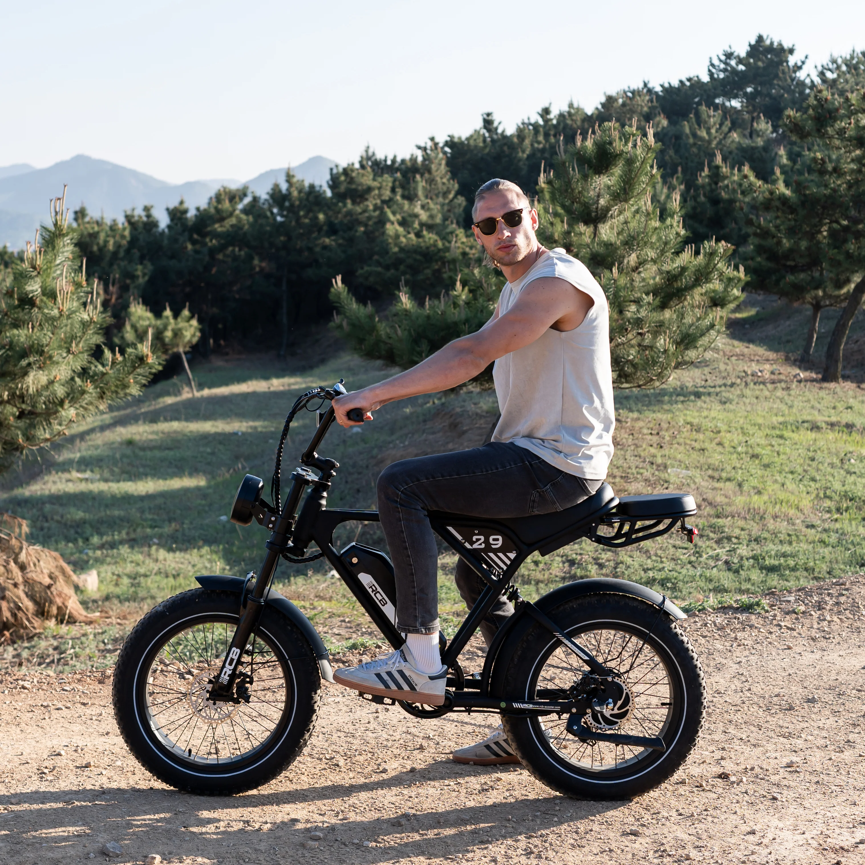 RCB RK29 Electric Bike for Adults(RCB E BIKE) - Image 11