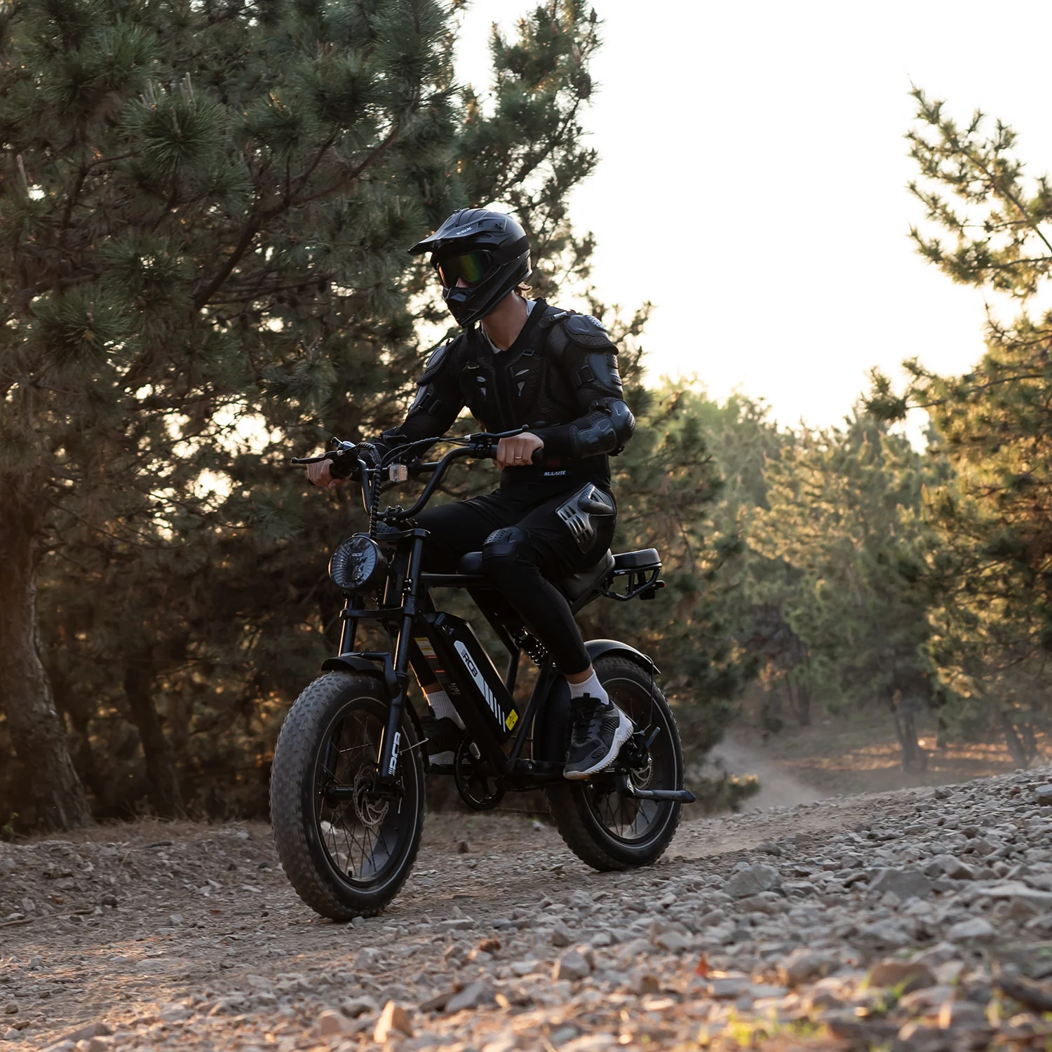 RCB RK29 Electric Bike for Adults(RCB E BIKE) - Image 13
