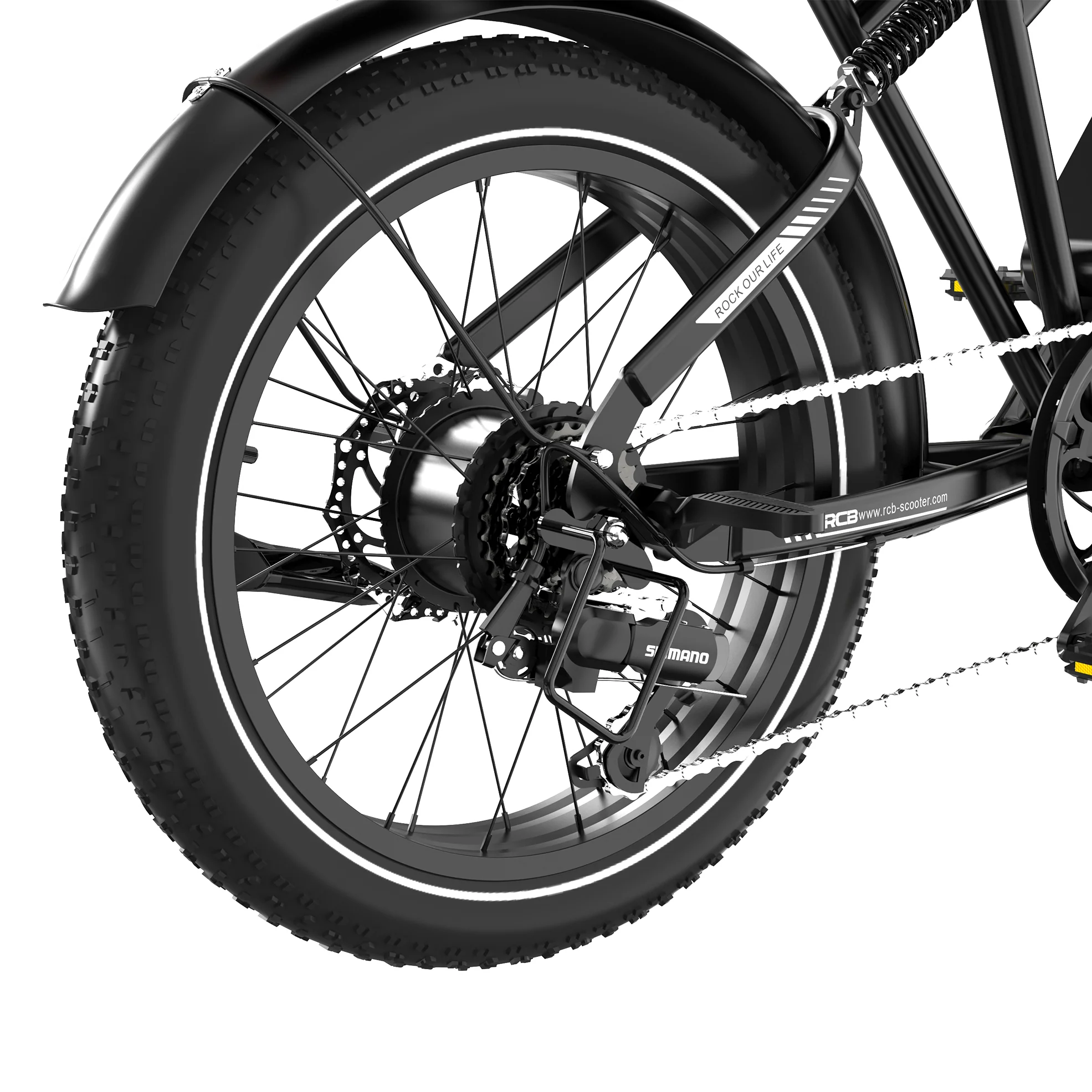 RCB RK29 Electric Bike for Adults(RCB E BIKE) - Image 14