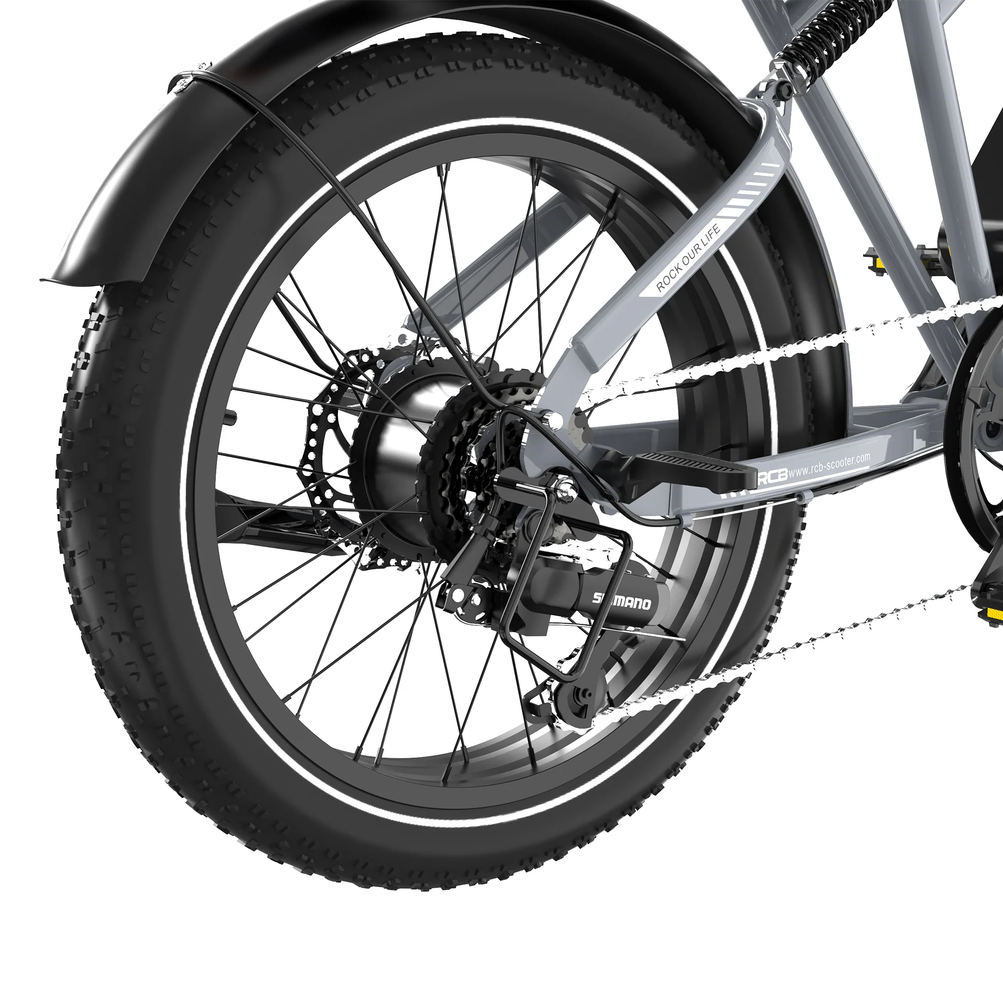 RCB RK29 Electric Bike for Adults(RCB E BIKE) - Image 15