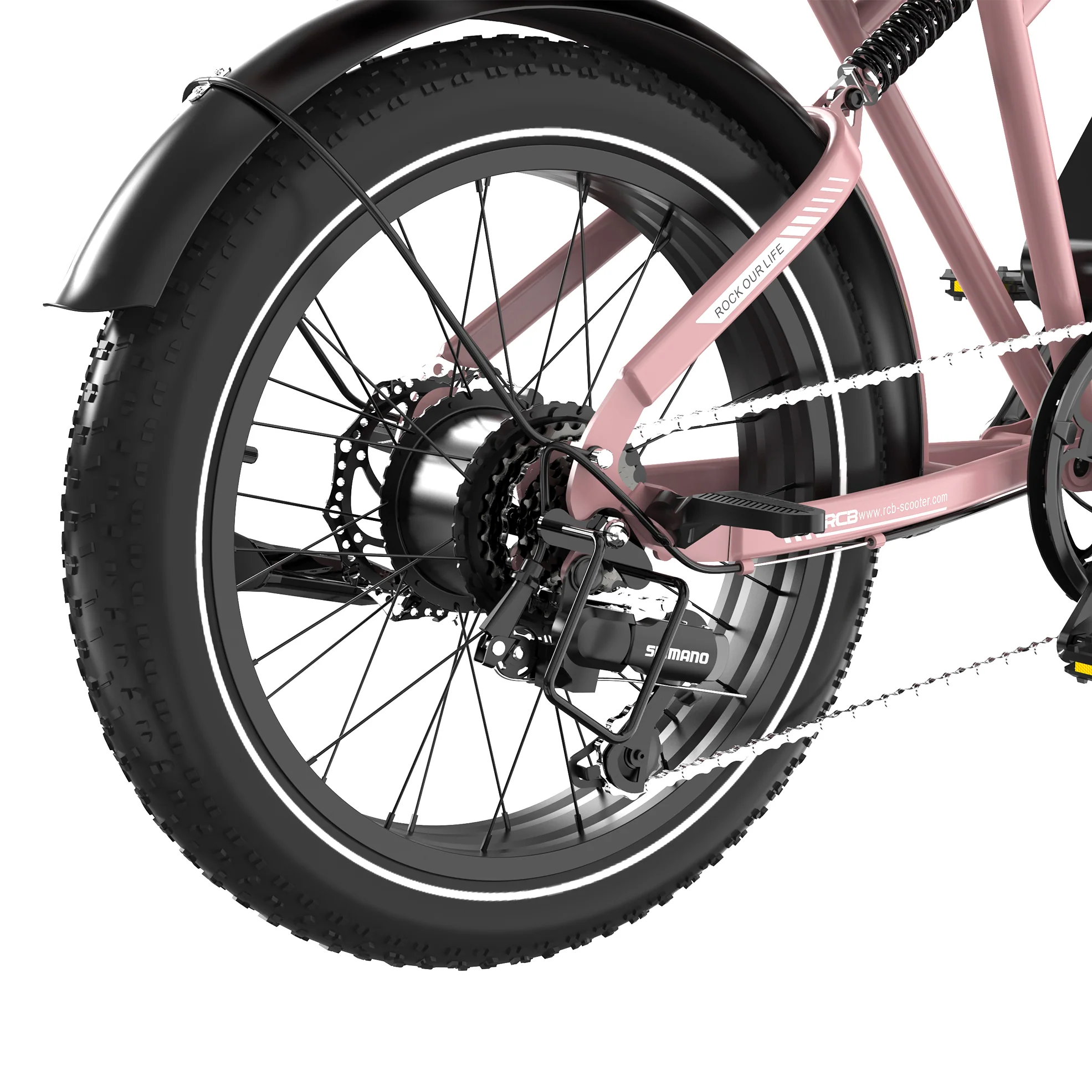 RCB RK29 Electric Bike for Adults(RCB E BIKE) - Image 16