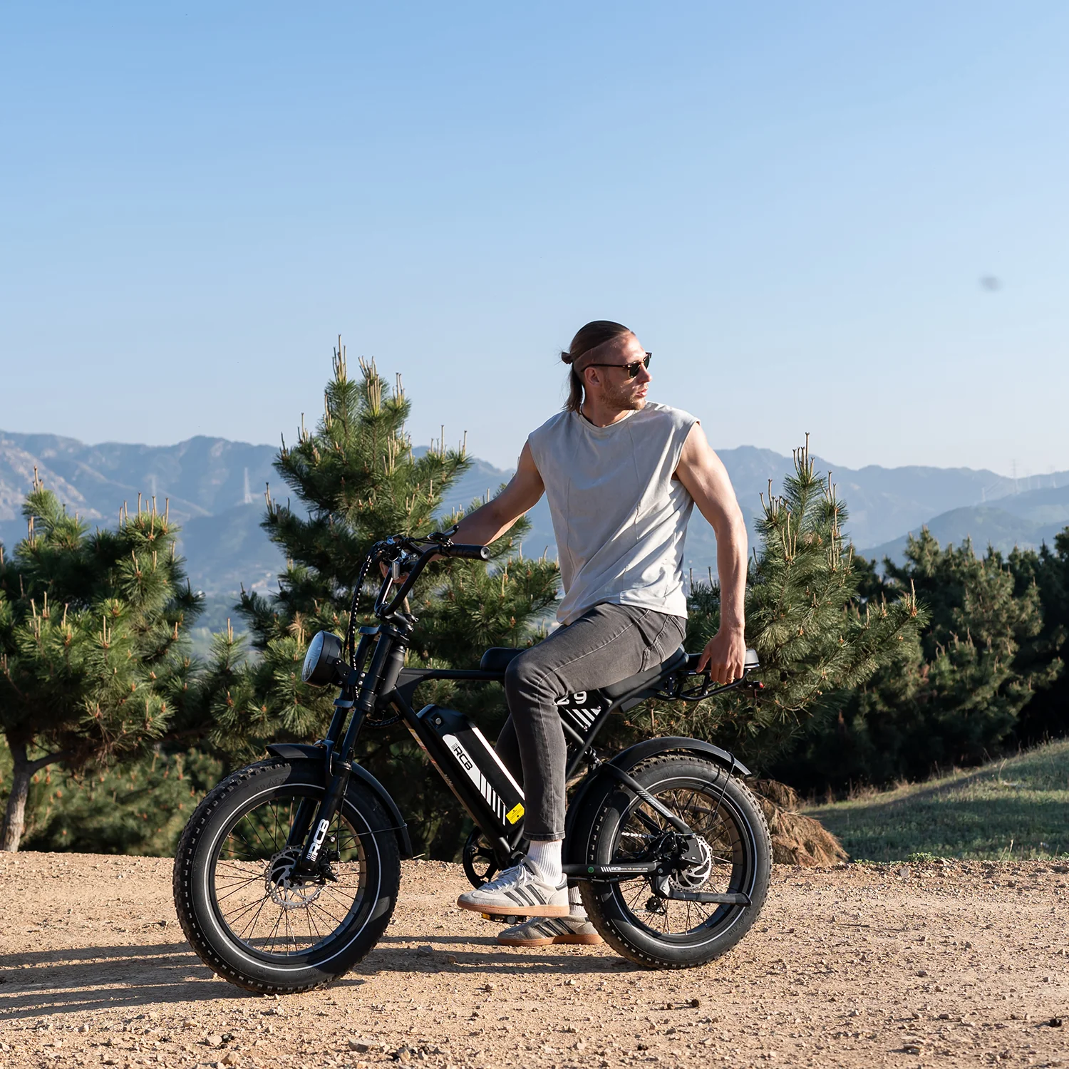 RCB RK29 Electric Bike for Adults(RCB E BIKE) - Image 9