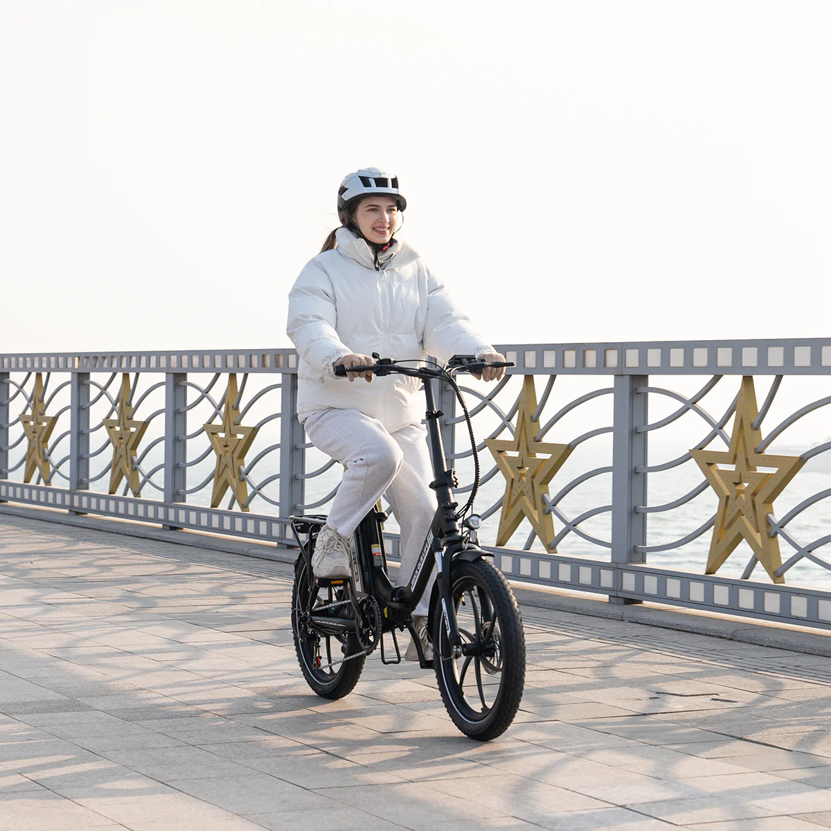 RCB RK6 Fat Tire Folding Electric Bicycle(RCB APP E BIKE) - Image 14